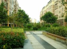 经典户型 楼层好 采光好 生活便利