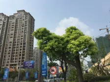 保利居上 顶楼带阁楼 前排湖景房 看房方便 业主诚心出售