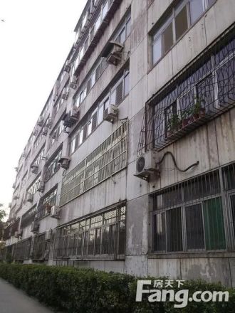 工商局宿舍(合欢街)实景图