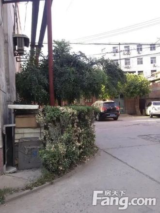 工商局宿舍(合欢街)实景图