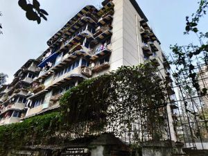 星辉中路14号 3室1厅 南