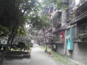 万年场下街121号2室1厅西南