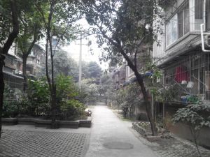 万年场下街121号2室1厅南