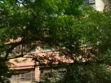 石化物业,小区环境卫生干净,地段佳。