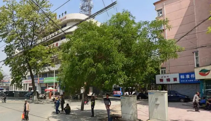 宝龙小区实景图