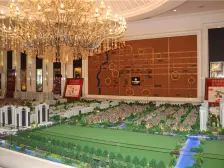 中金海棠湾合院电梯别墅,拎包即住前后花园,价格空间大