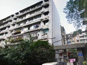 支矶石街20号 4室2厅 南