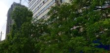 七建大厦2室2厅东北