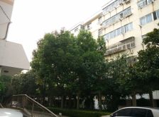 嘉家小区 延安新海 三室低楼层一楼