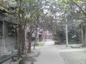 文华路15号2室1厅东南