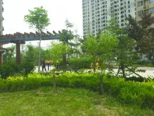 松隽阳光城 3室2厅 东 南 西 北