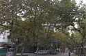 刘家塘小区实景图