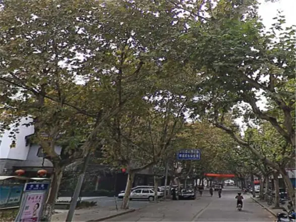 刘家塘小区实景图