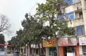 刘家塘小区实景图