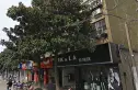 刘家塘小区实景图