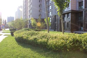 免双税,精装修拎包入住客厅主卧朝南北通透,全天采光