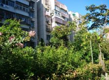 海宁小区 有阁楼 车库 随时看 房 龙河小区