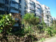 海宁小区 两室 采光无遮挡 户型方正 随时看房