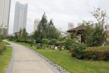 中间楼层大户型美域江岛观江效果很棒