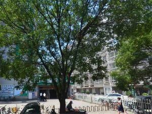 总高8层电梯房看房方便,地段好位置好采光好