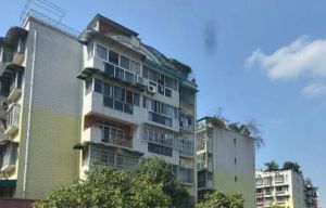 芙蓉苑小区2室2厅东南