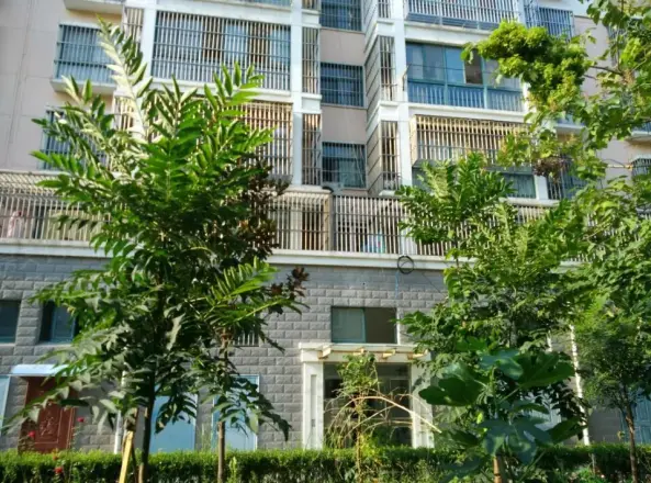 公园新村实景图