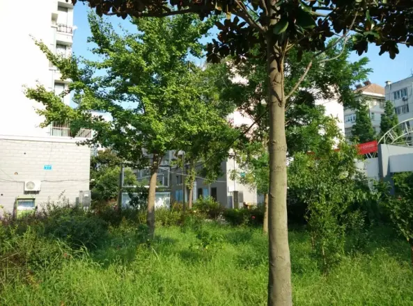 公园新村实景图