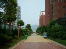 一楼带院子 户型好 楼层佳 看房方便