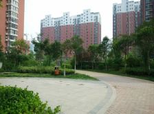 苍梧双包南北通透楼层好采光无遮挡看房有钥