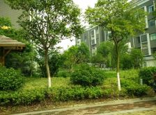 华府精装修户型合理采光好房东诚心卖房