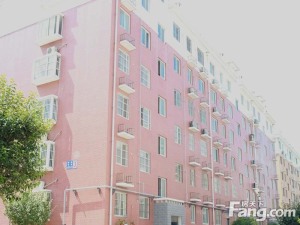 南部怡家3室1厅南北