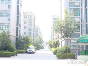 佳乐家近,实小旁,户型方正,电梯洋房,出稅