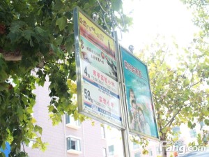 佳乐家近 电梯洋房 精装三室 出税 地下室