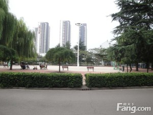 电力三单位房中间楼层三室朝阳精装