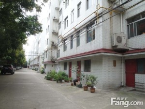 急售低首付买电力三单位房 3居室全小区价位很合适