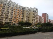 世纪华庭 大平层 看房方便 采光好