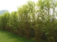 房子南北对流 户型方正 采光充足 ,楼间距宽,安静!