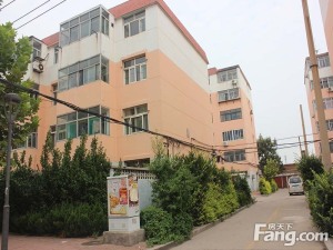 一楼石墙院三室白浪河则尔庄大集生活方便