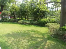 环境优美 居住人群素质高 物业管理完善,