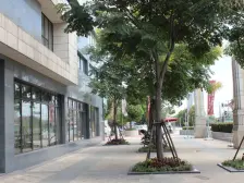 前滩南次新 独栋 Y1前排大花园 双花园 双一楼设计