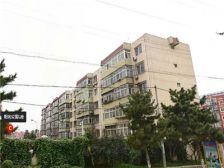 阳光公寓五层次顶大客厅落地窗房龄新支持各种贷款