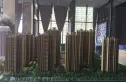 派客国际实景图