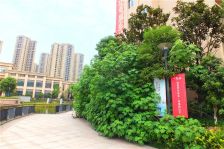 深业睿城1室0厅西北