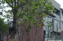 绿野名人居实景图