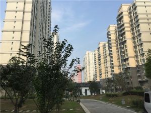 京南一品精装三居 南向户型 视野佳 满二省税费 户型好