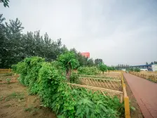 户型格局好,采光、位置好,西边户院子大,价格可谈