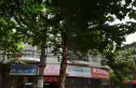 德义里实景图