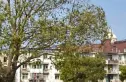 水果湖农业银行宿舍实景图