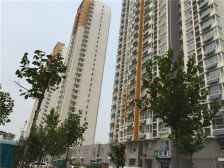 北城枫景大两居室 看房方便 南向不挡光