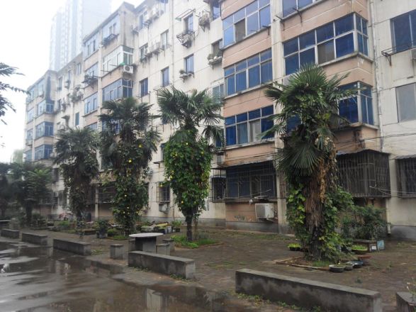 锦园小区实景图